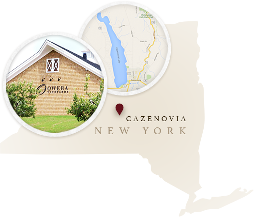 Map of New York State showing location of Cazenoiva the city where Owera Yineyards is located